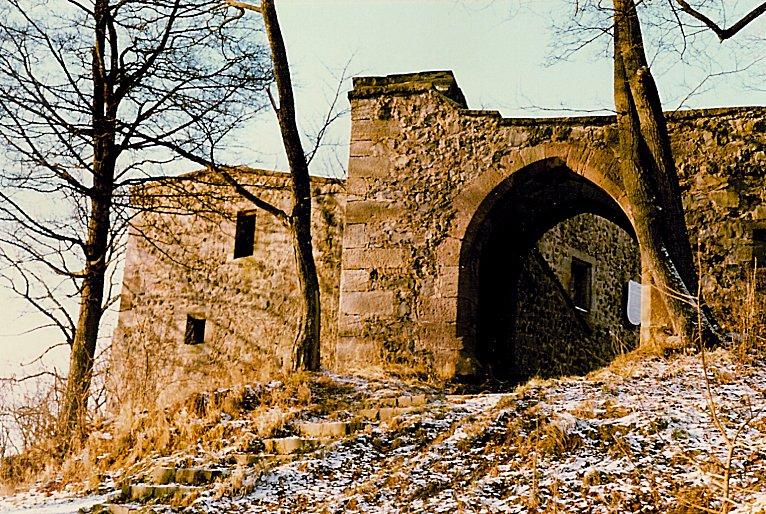 Burgruine Hauneck