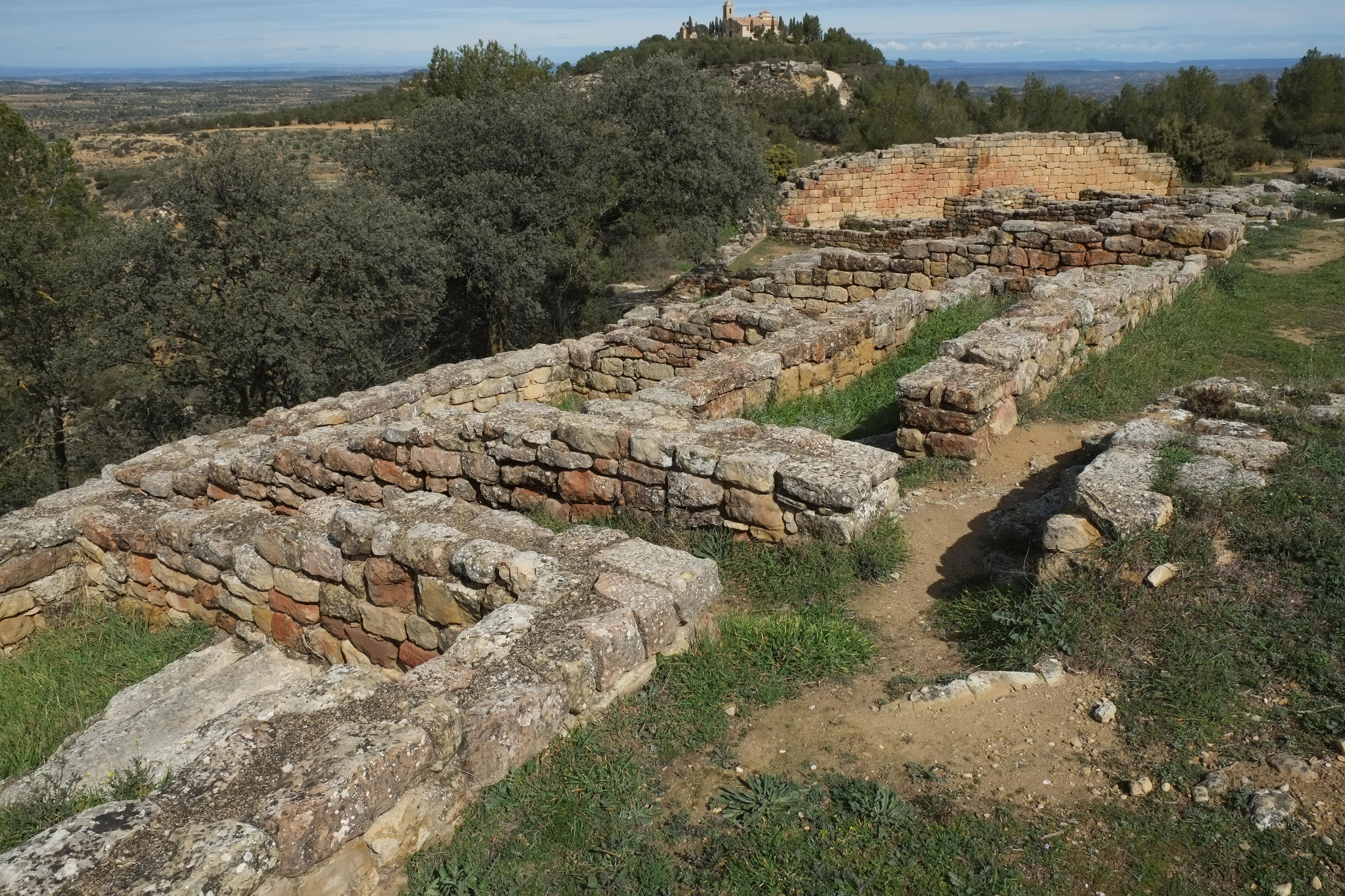 Despoblado iberico de San Antonio