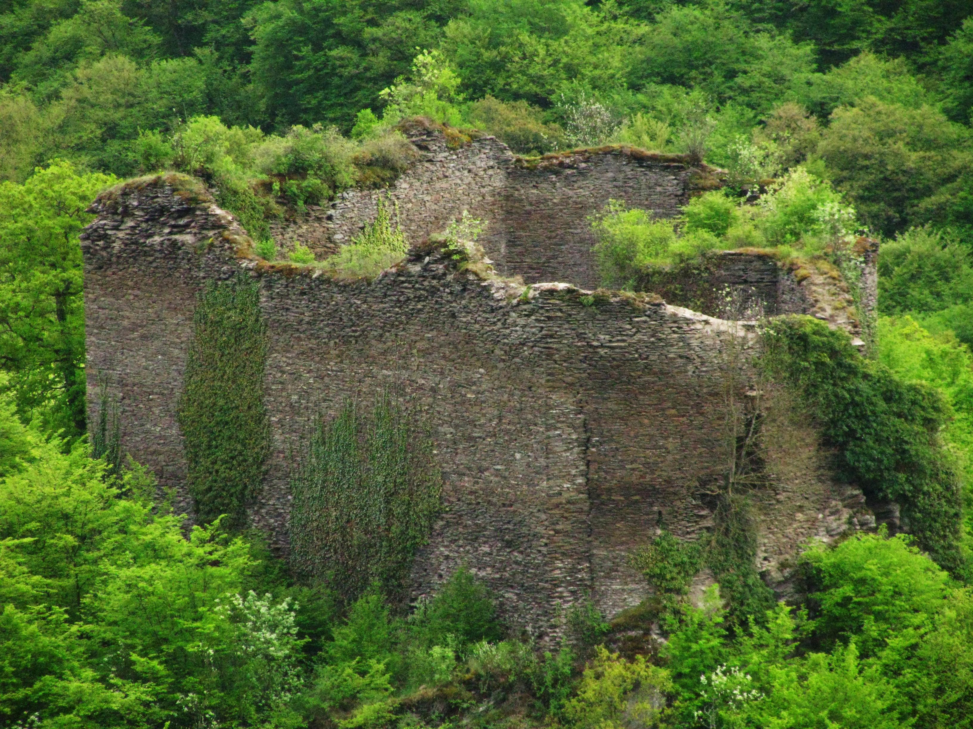 Ruine Rauschenburg