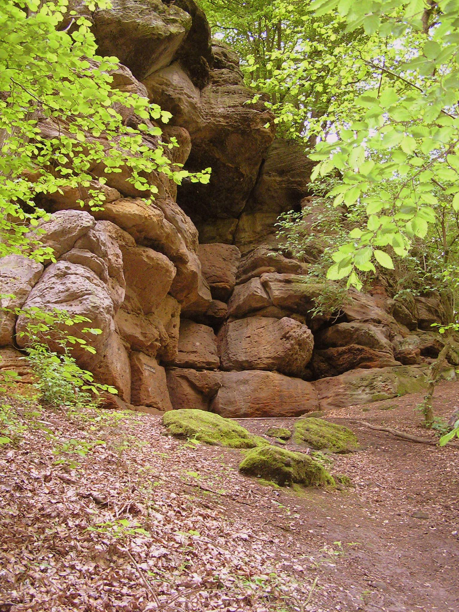 Hollenkammer