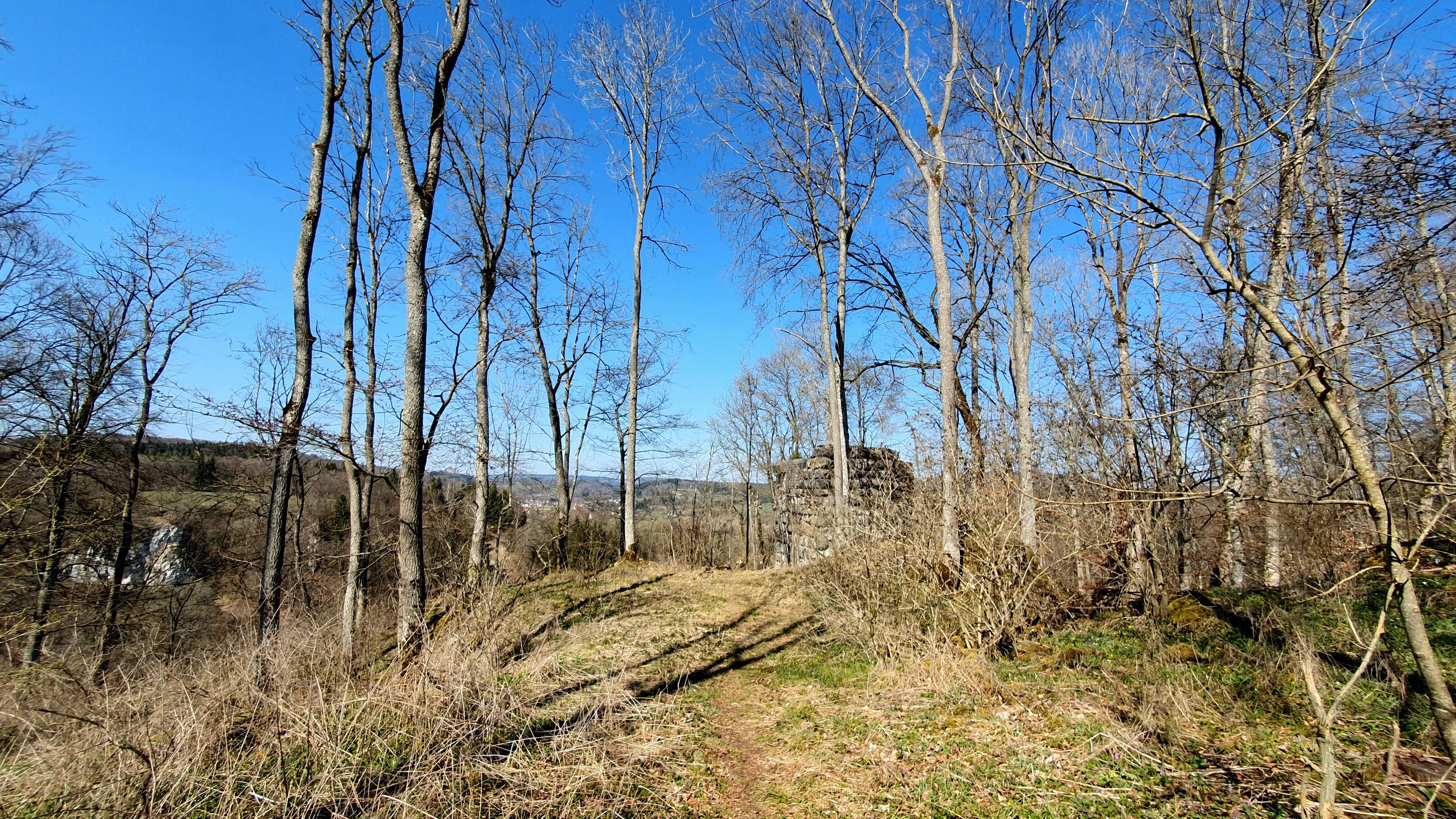 Ruine Blankenstein
