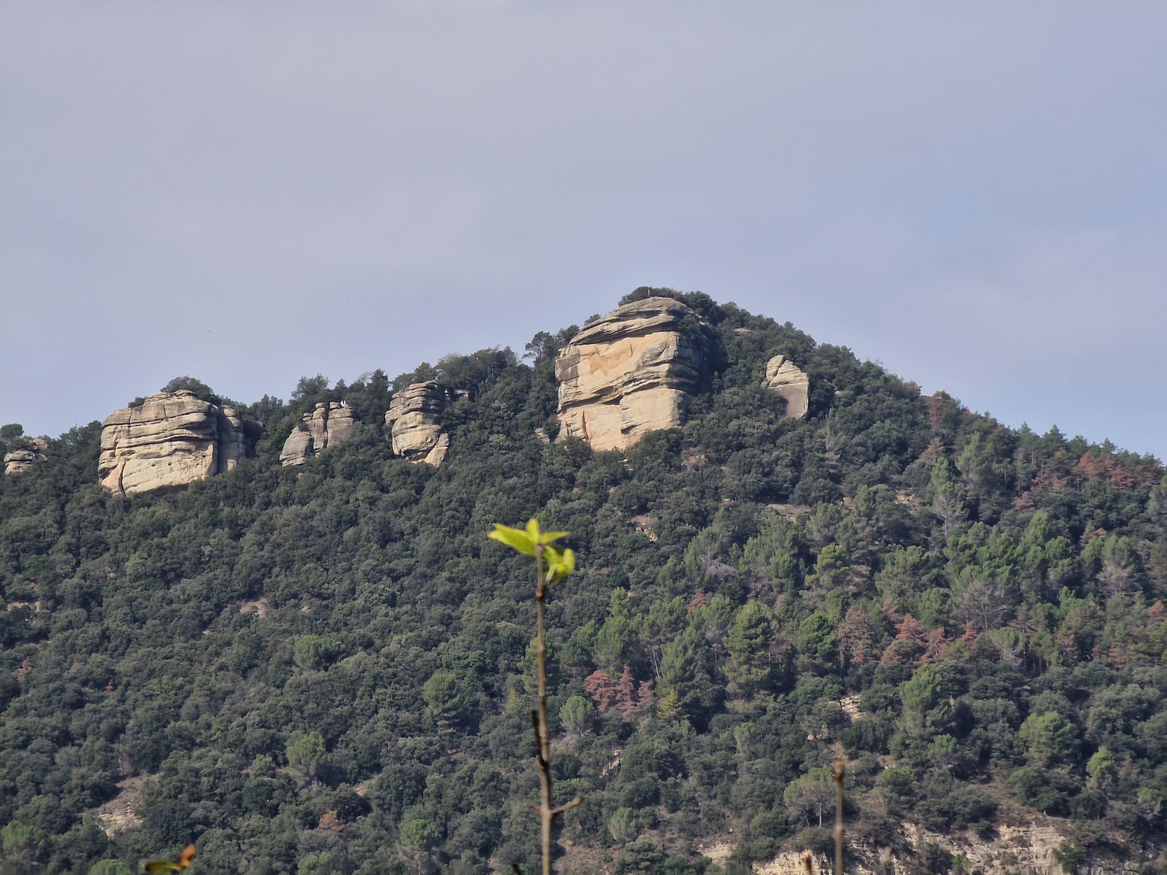 Puig del Far