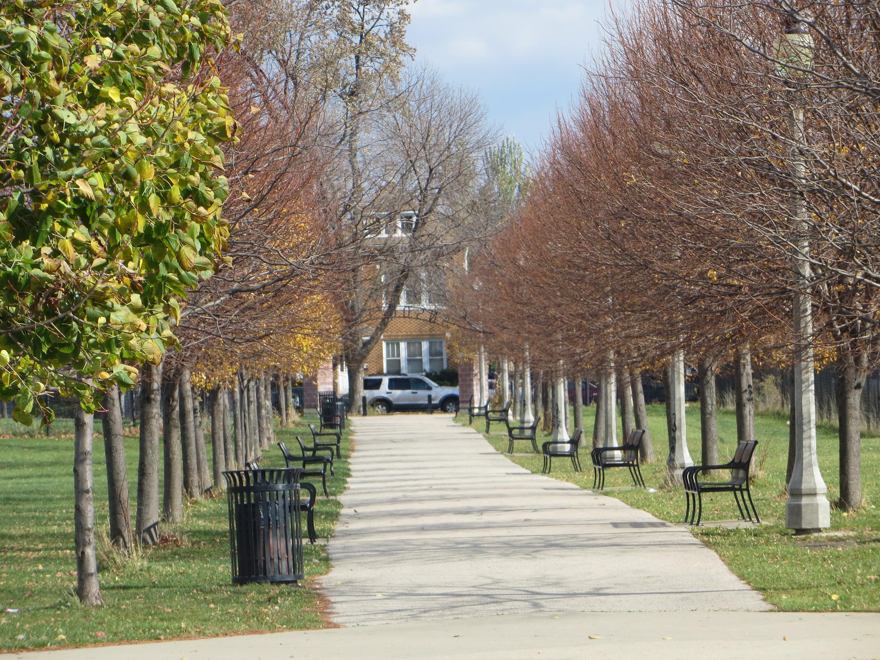 Hanson Park