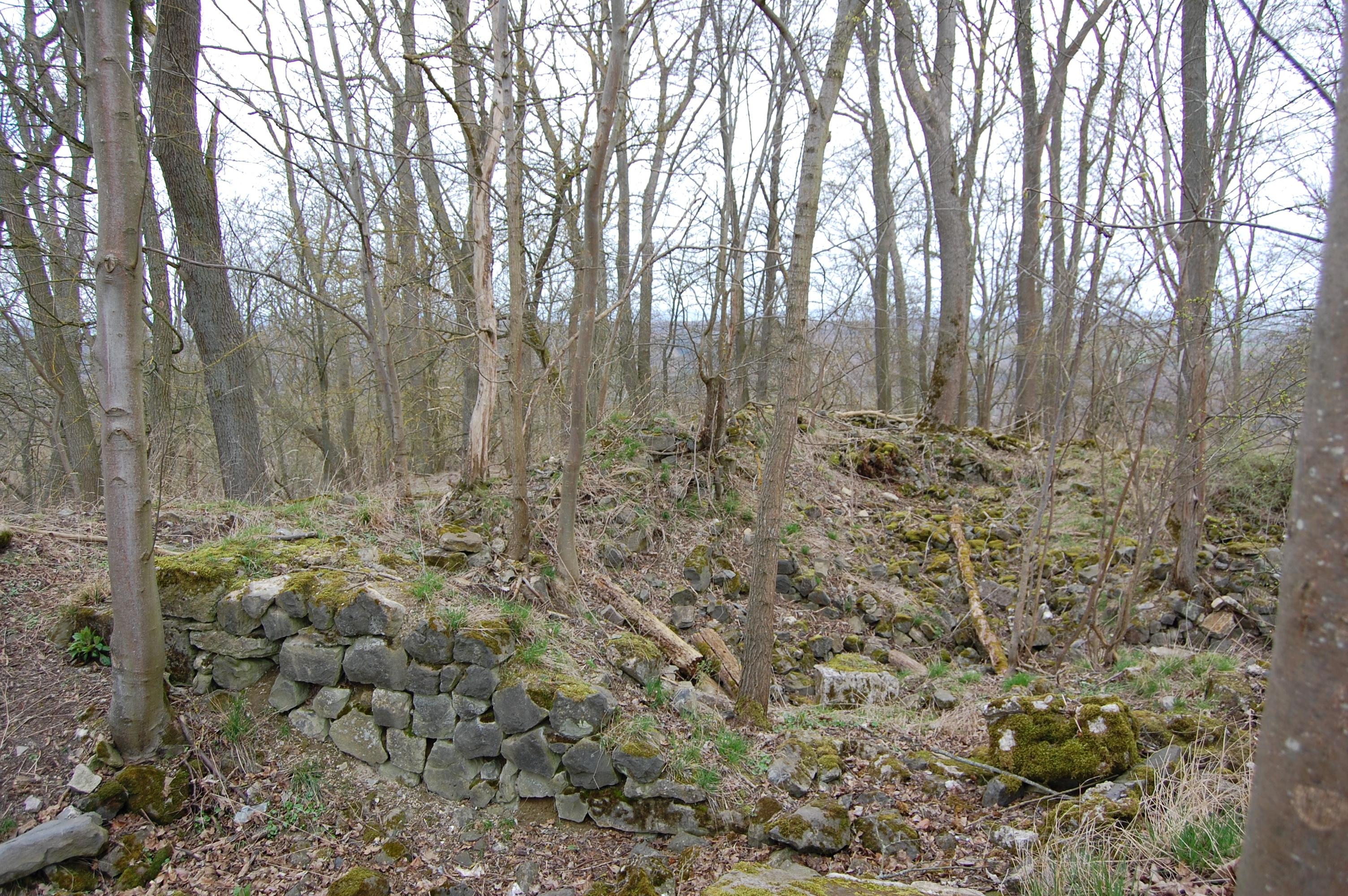 Burgruine Malsburg