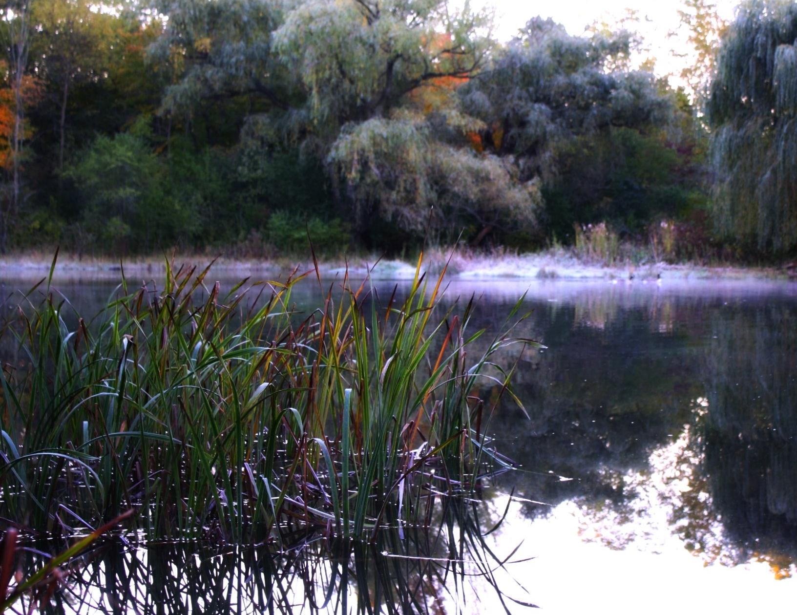Whitnall Park