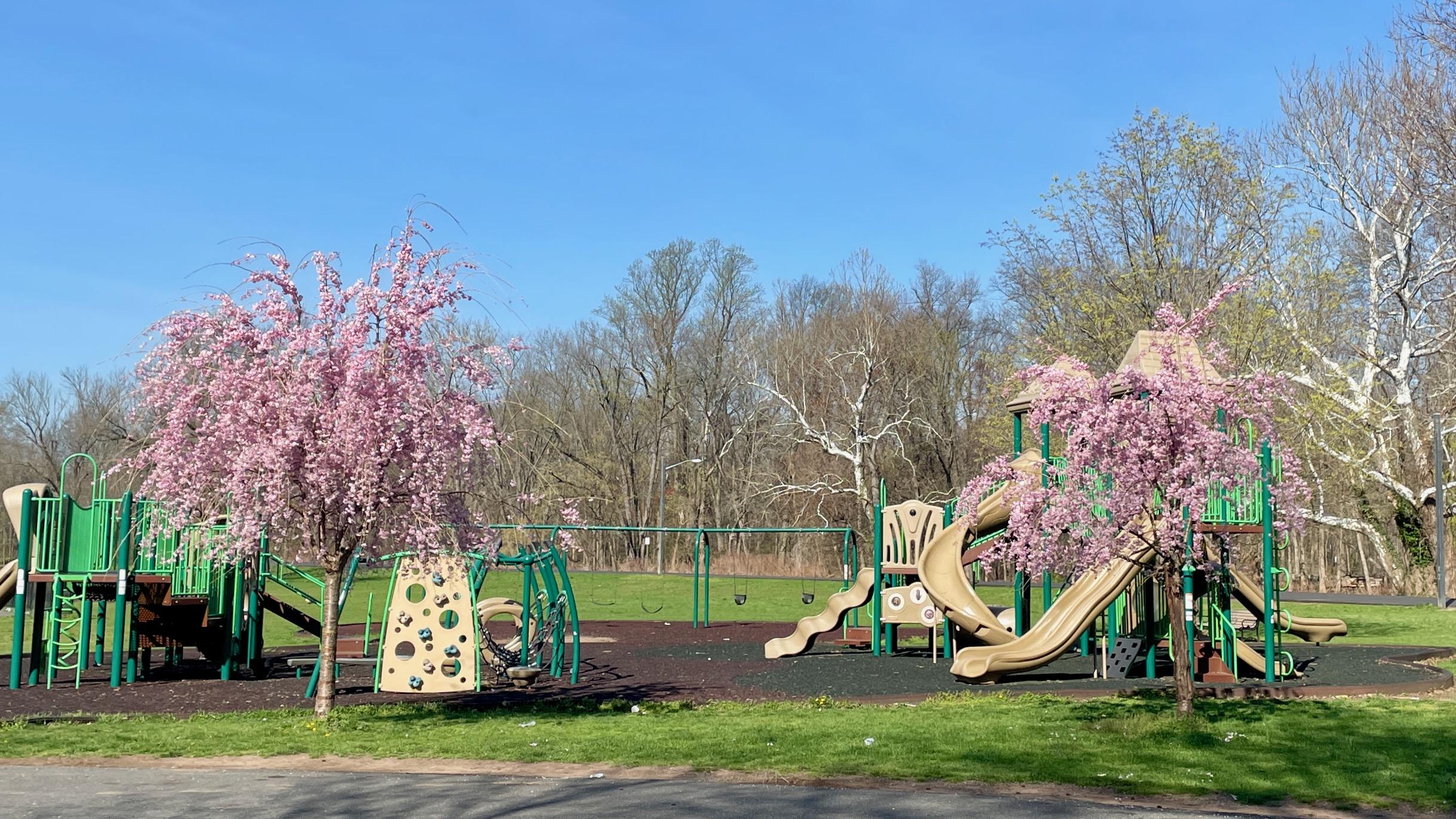 Green Brook Park