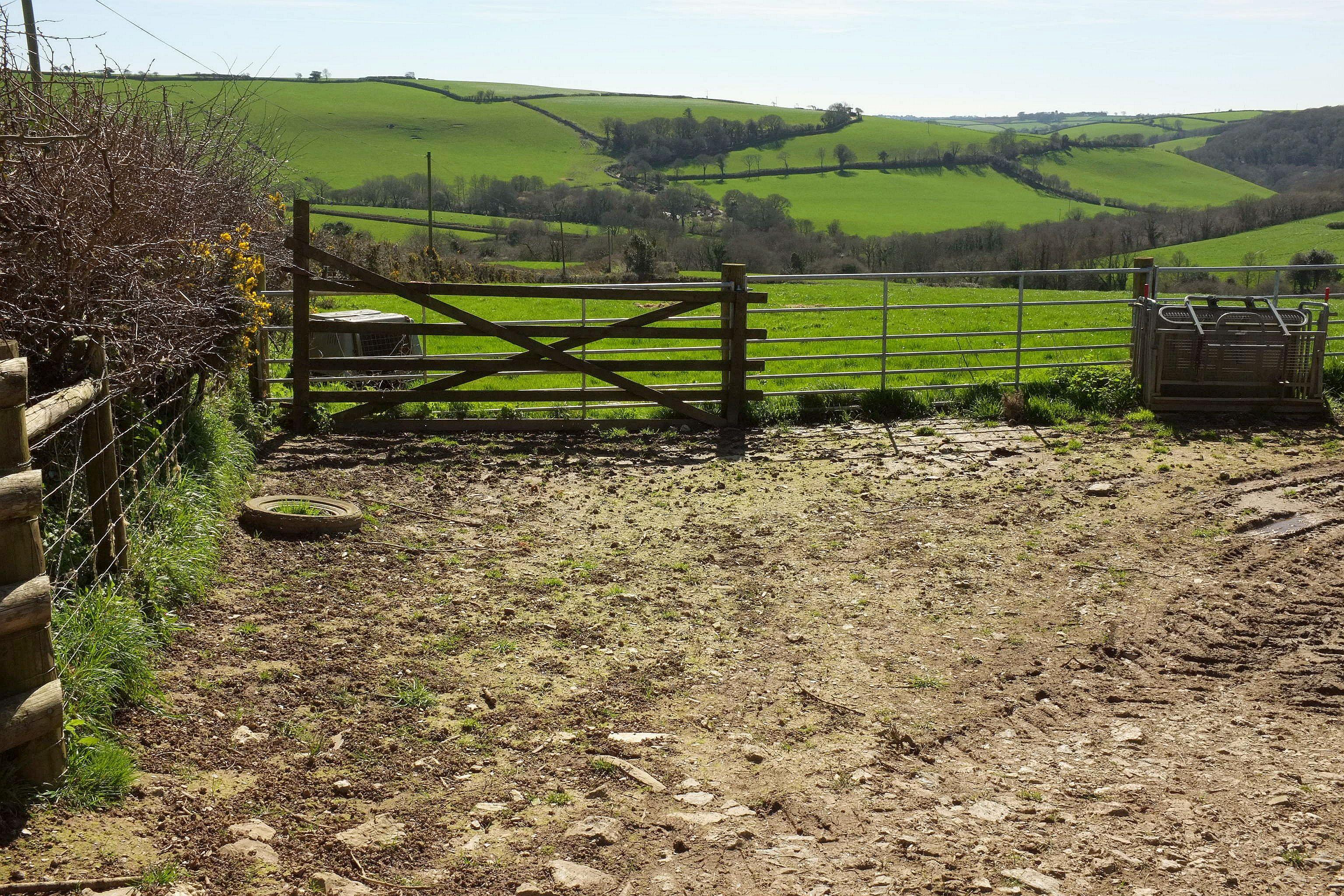 Giant's Hedge