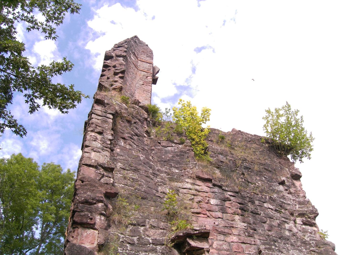 Burg Sterneck