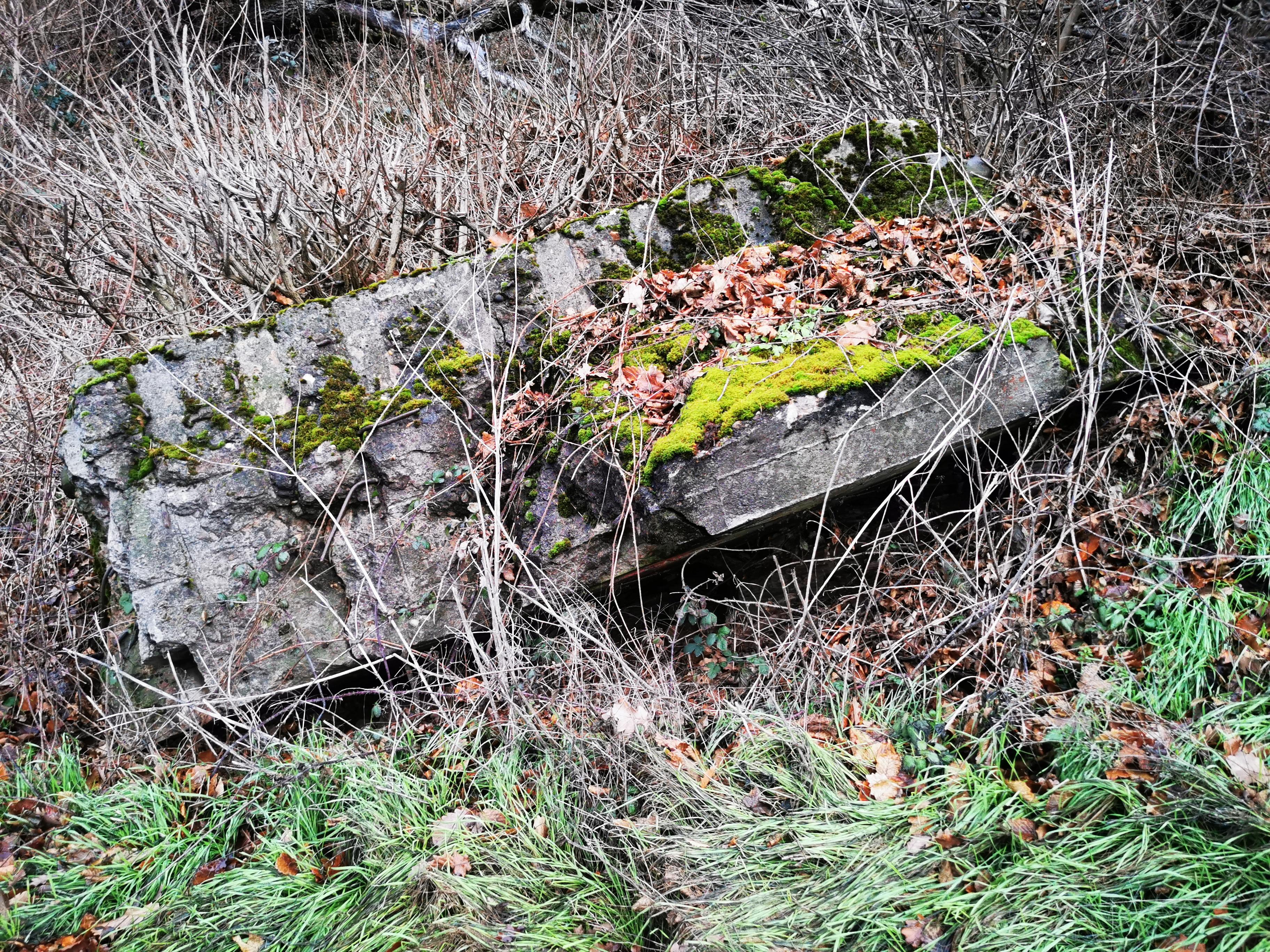 Bunker