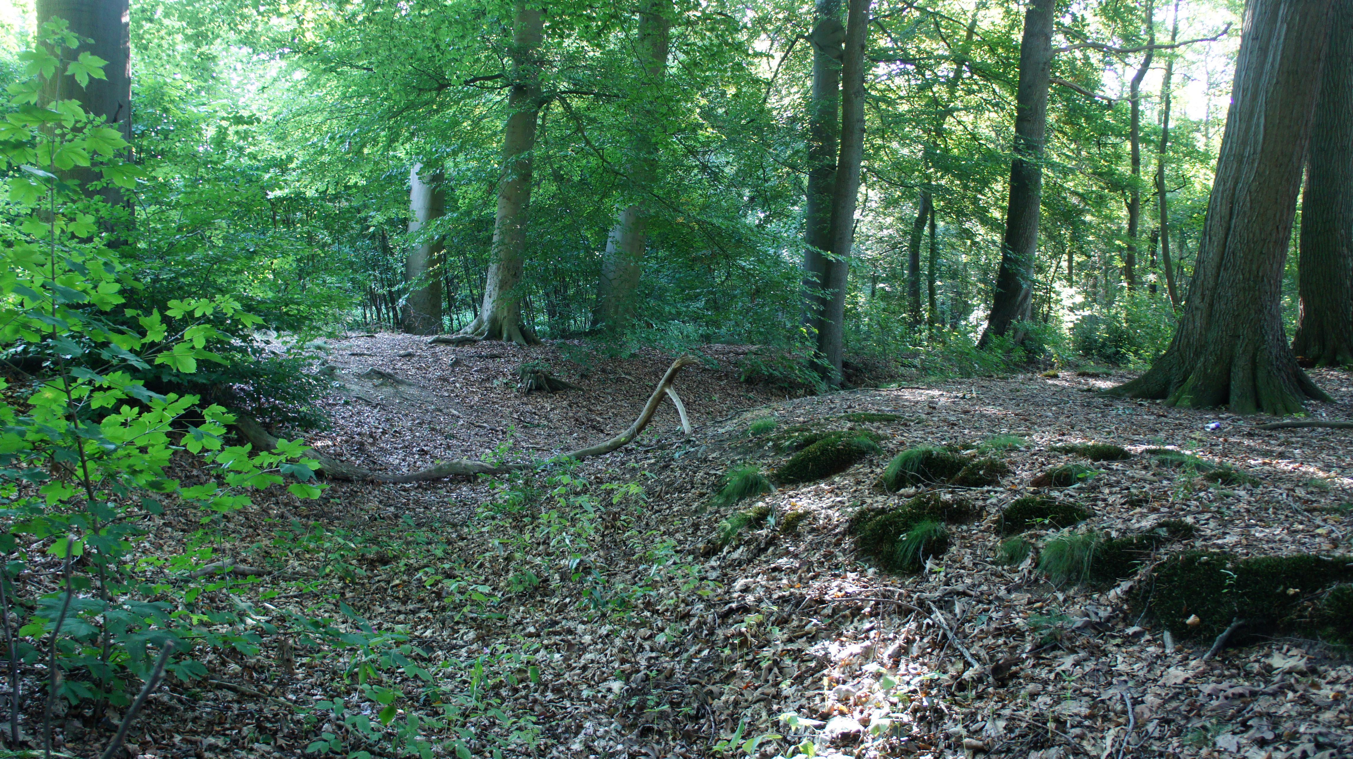 Niederungsburg