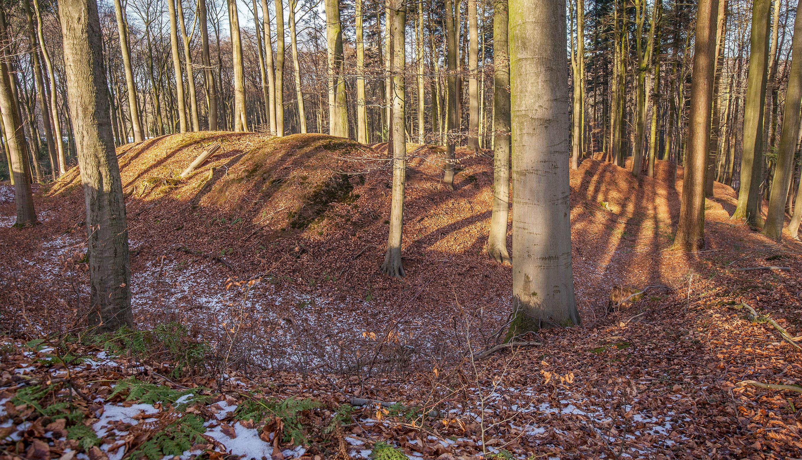 Schwedenschanze