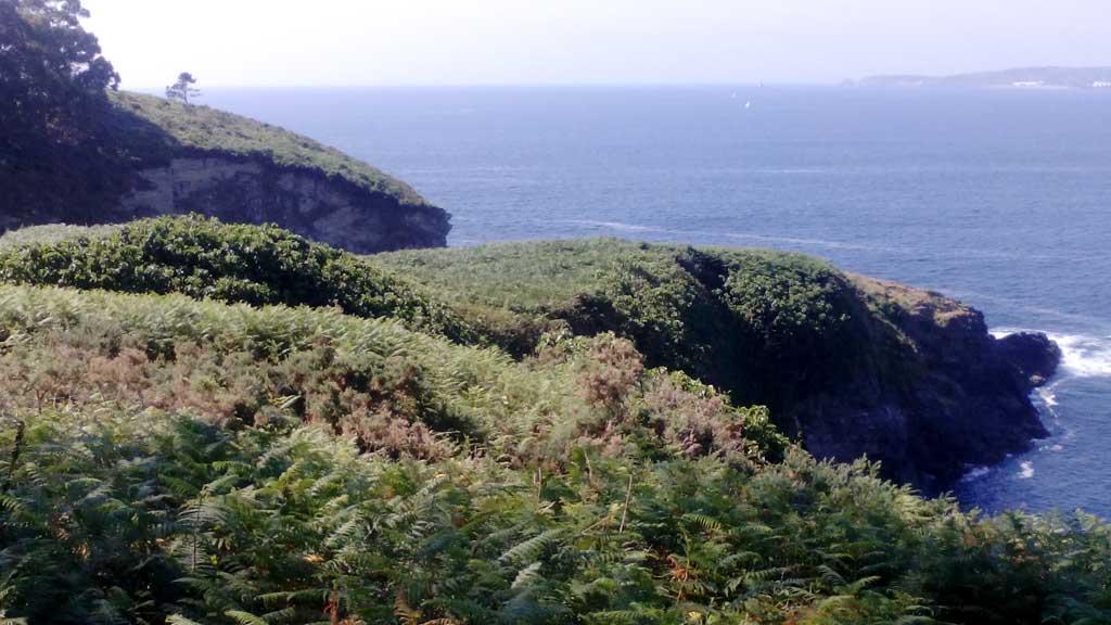 Castro de Punta Roza