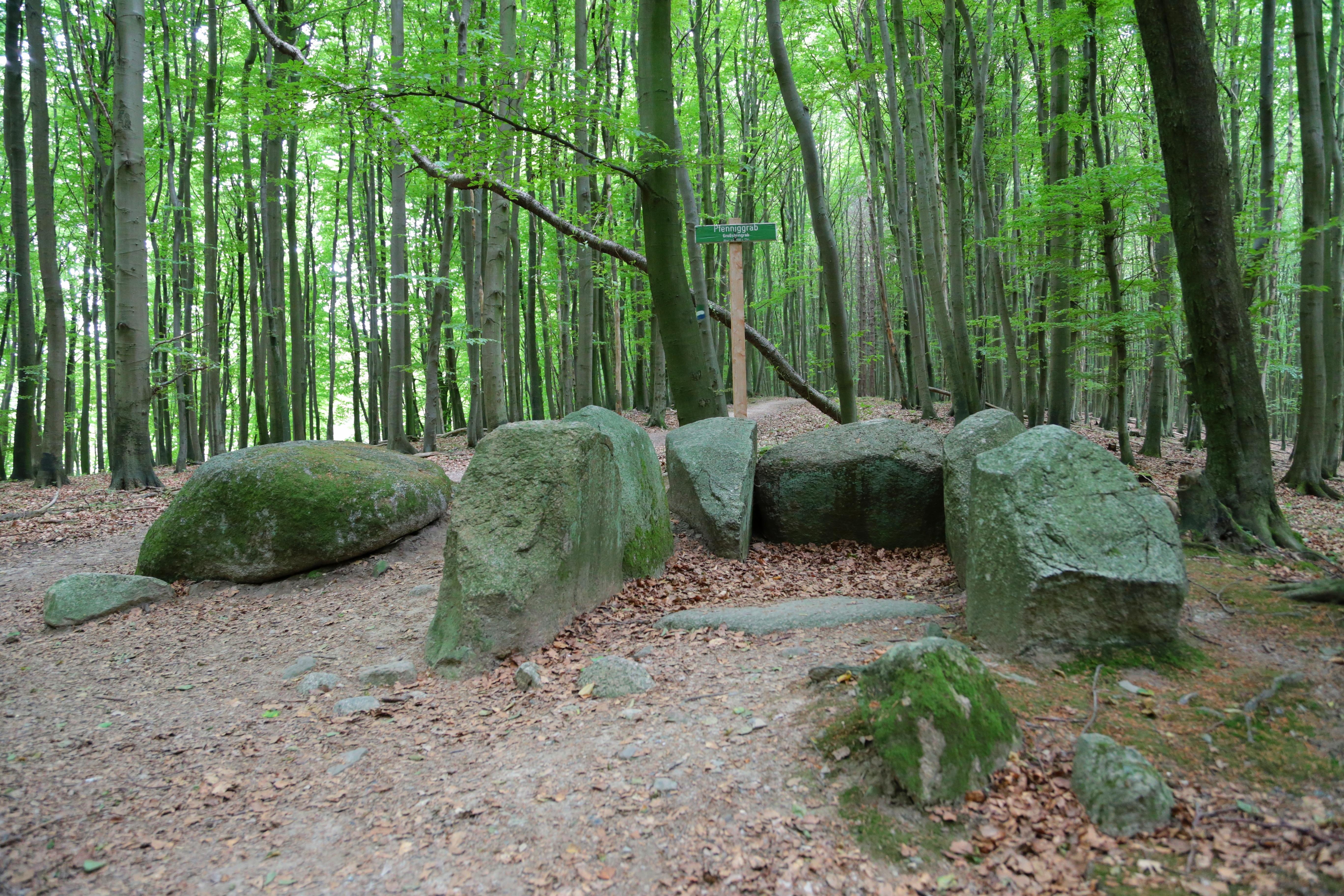 Grosssteingrab Hagen-Stubnitz 1