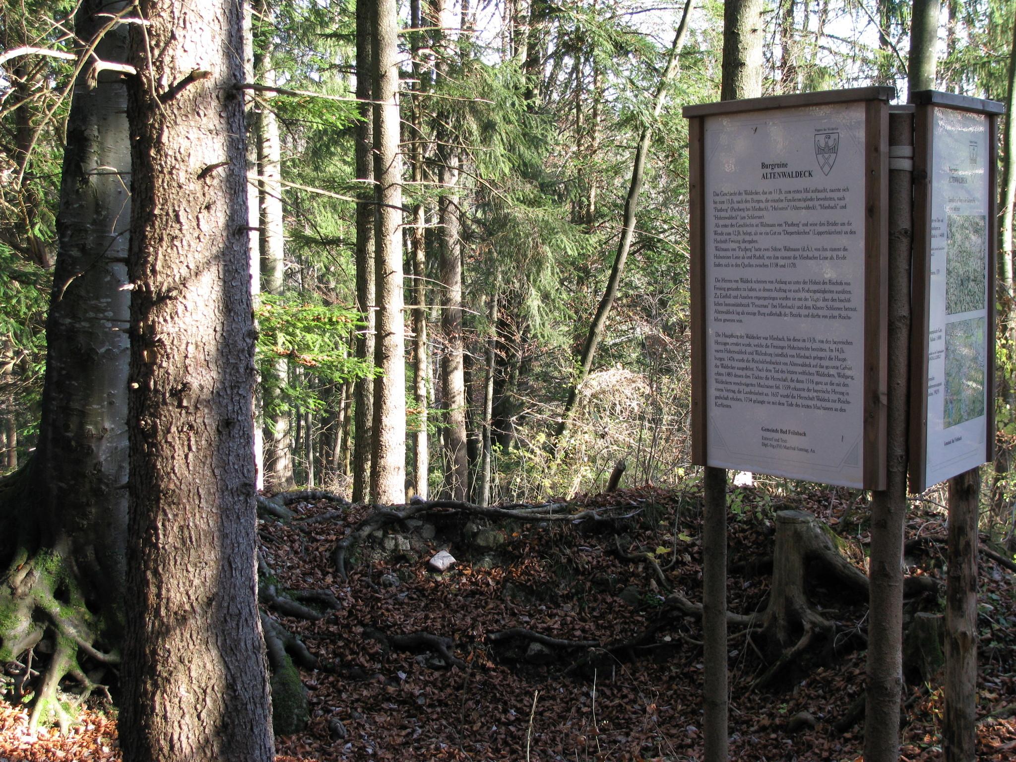 Burgruine Altenwaldeck