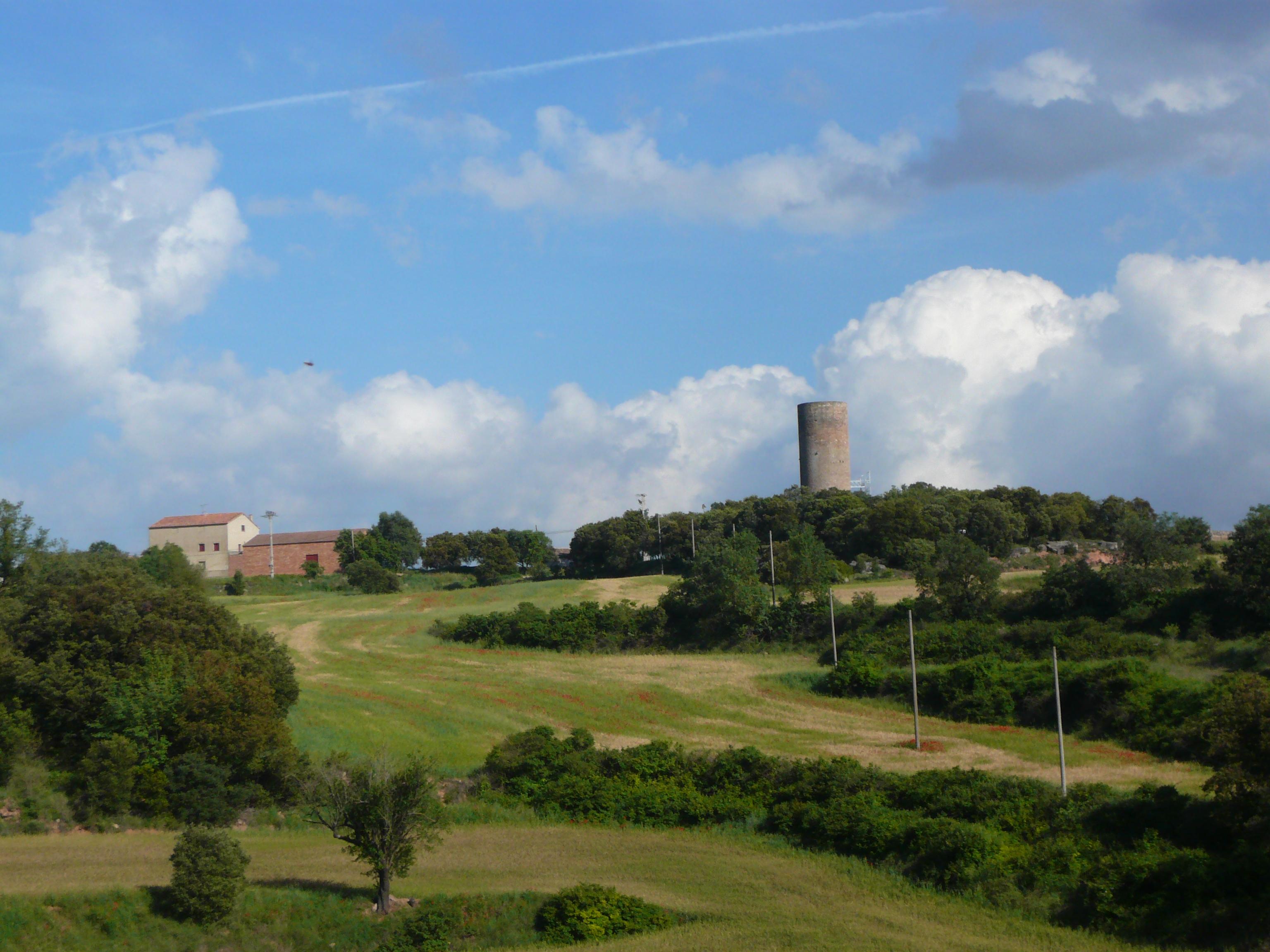 Castell de la Manresana