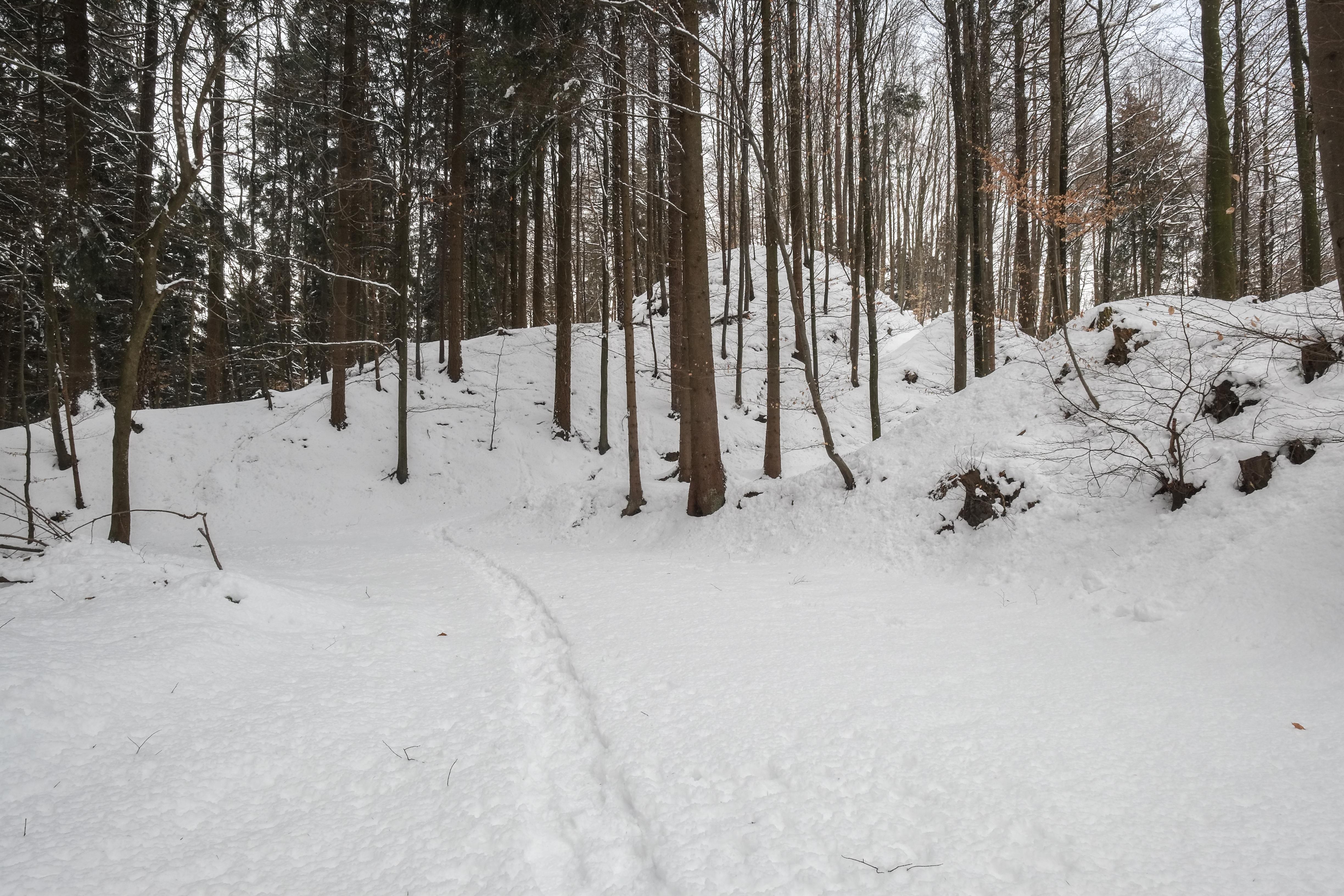 Alt-Heiligenberg