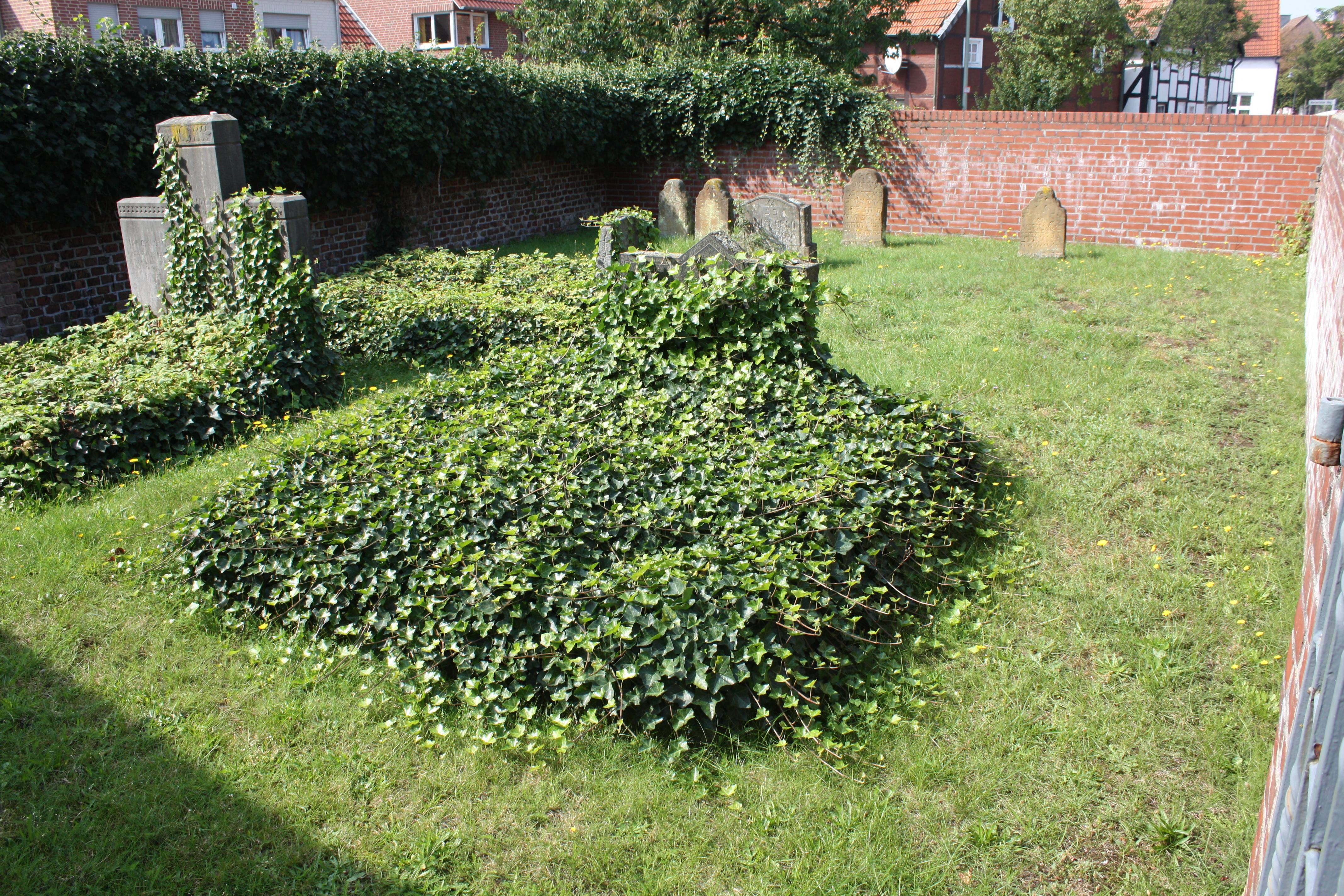 Judenfriedhof