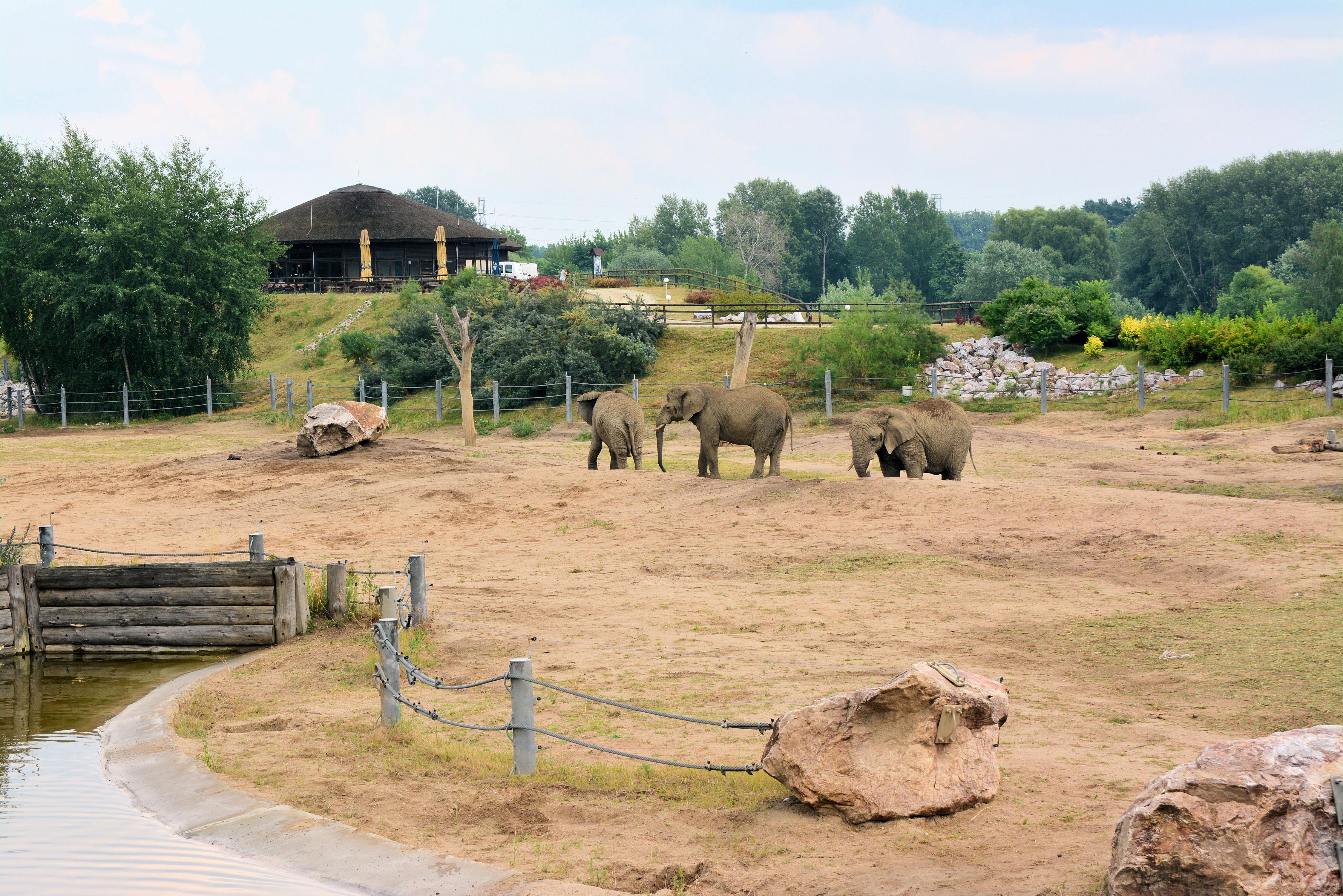 Nowe Zoo w Poznaniu