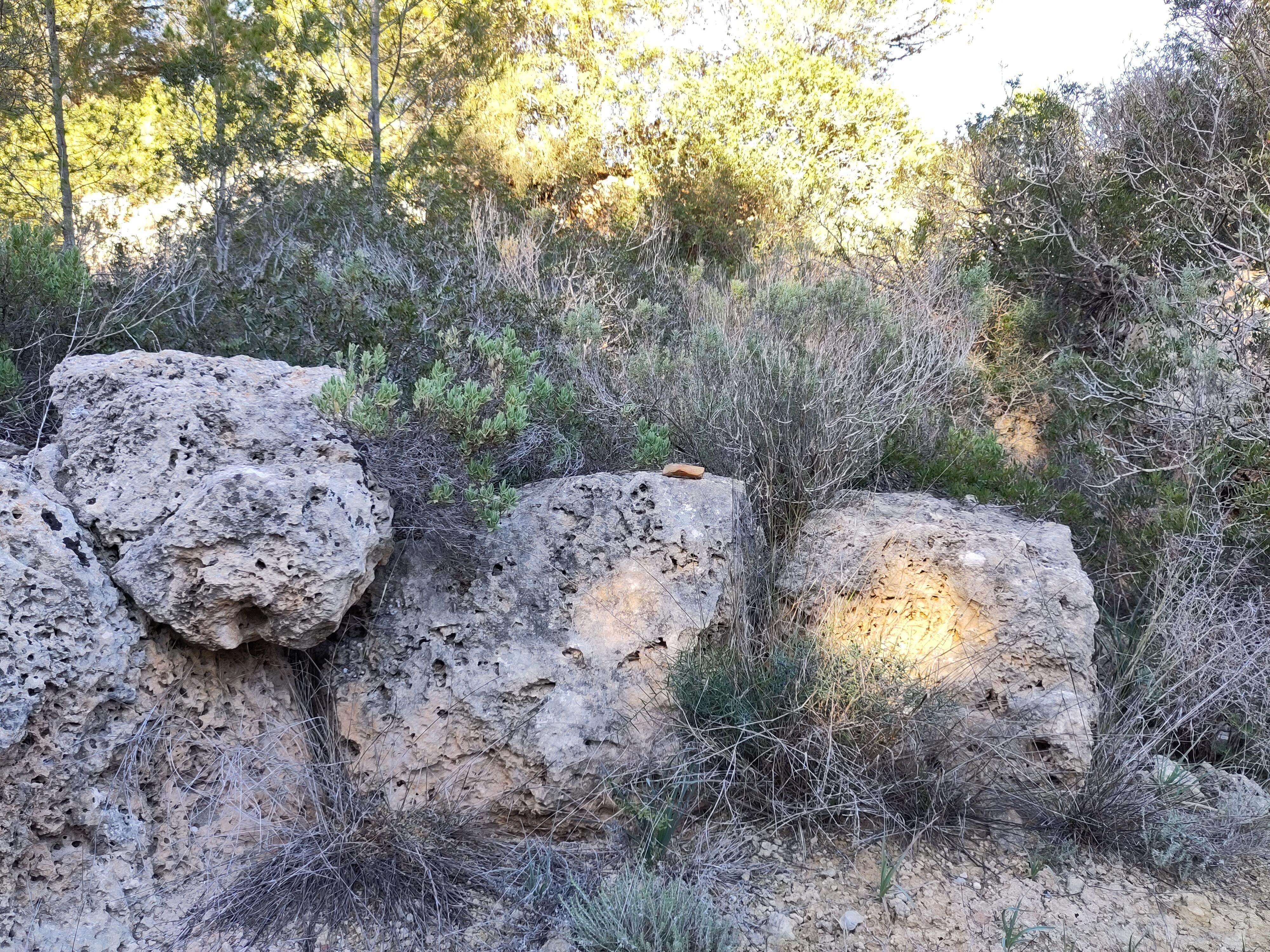 Turó de Ses Abelles