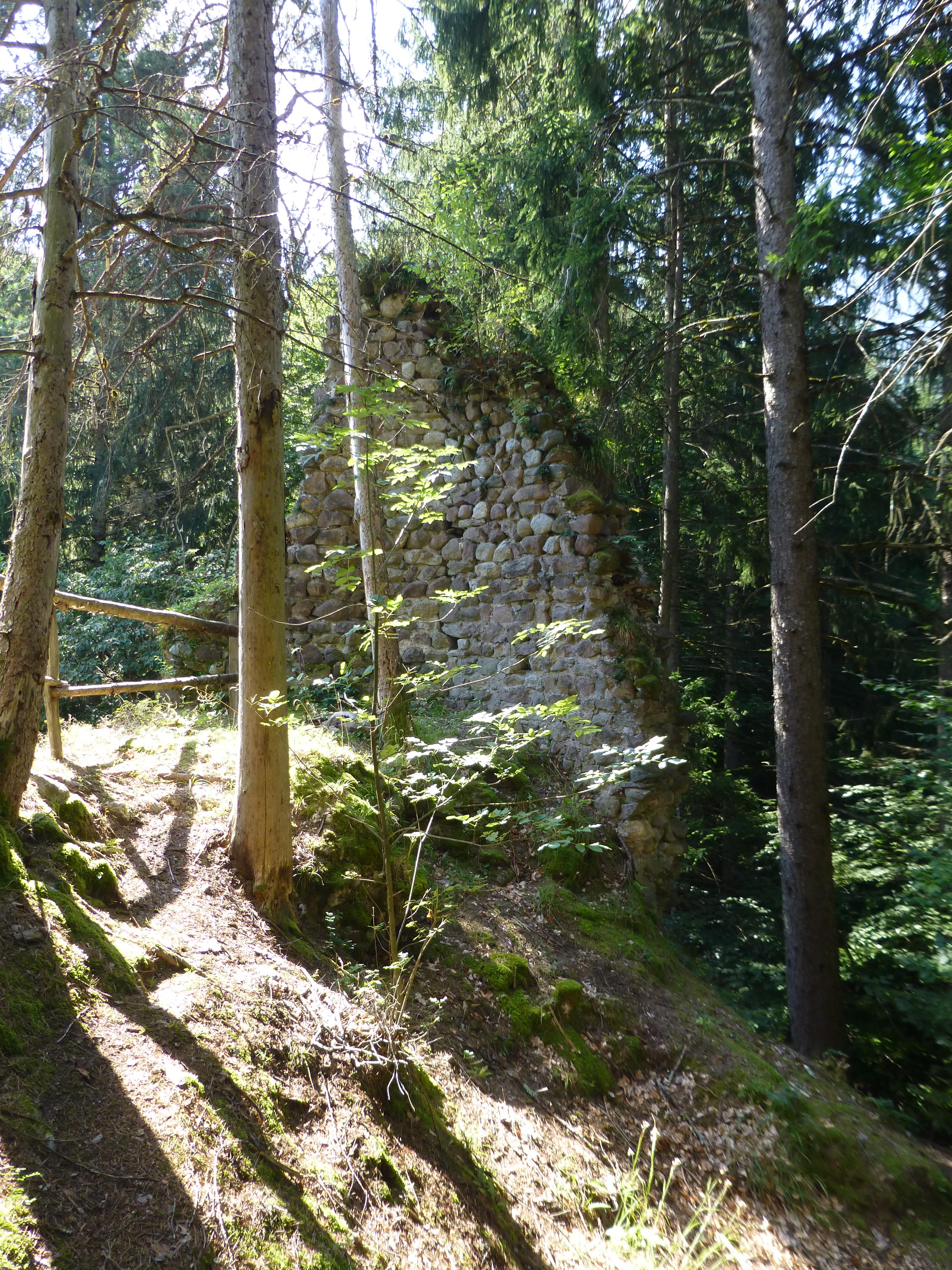 Ruine Schloss Holz