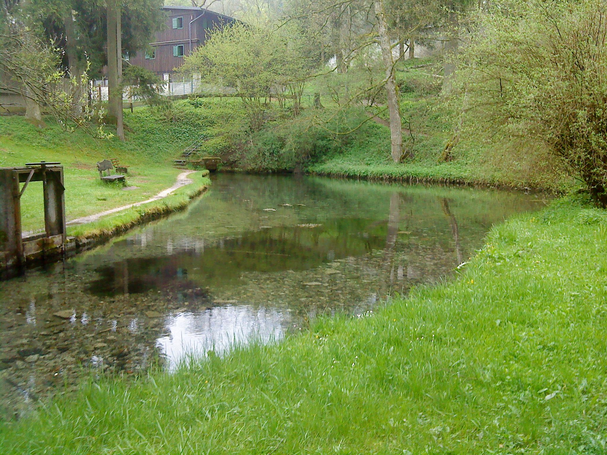 Lauterquelle