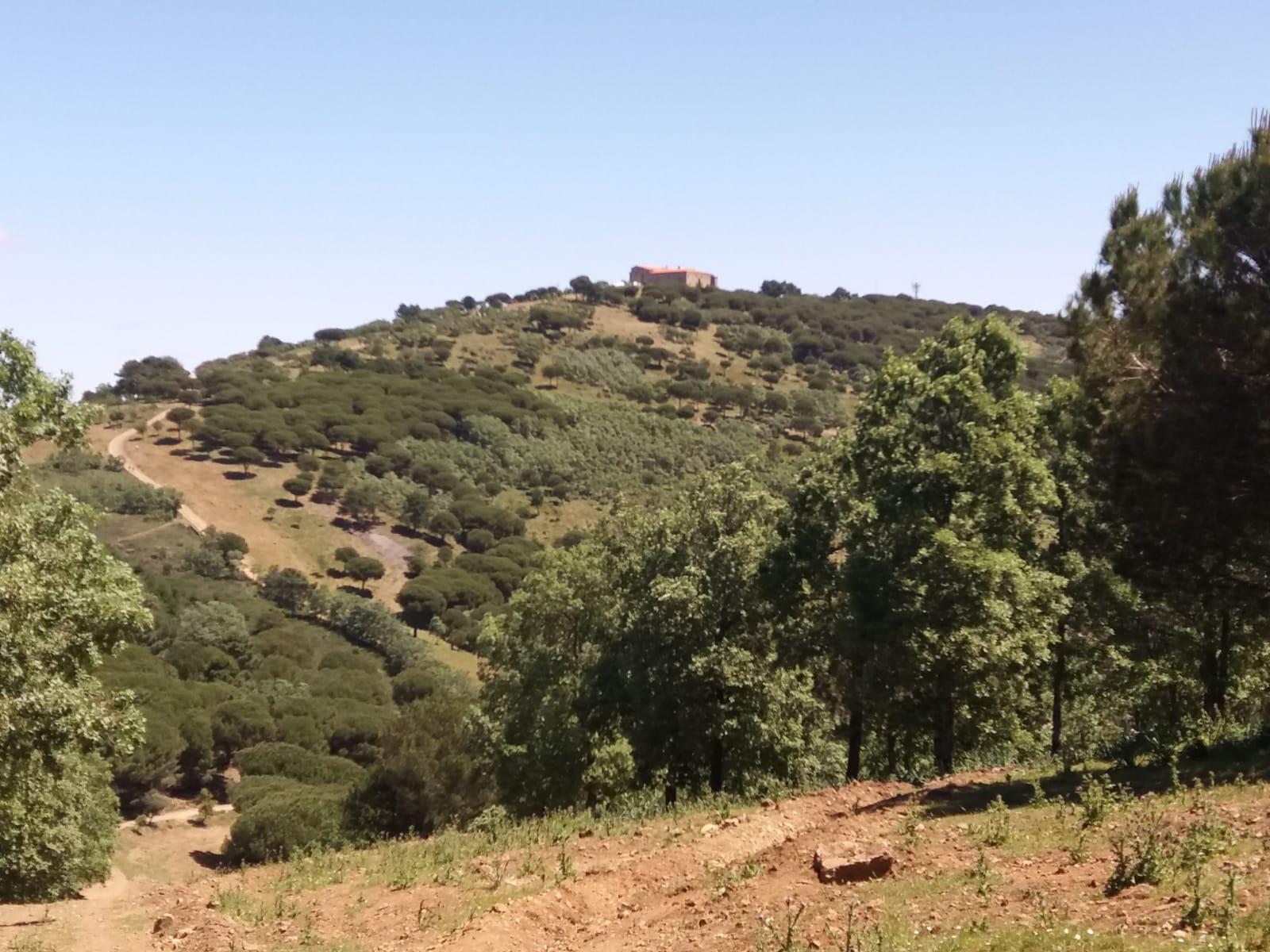 Cerro de Tentudía