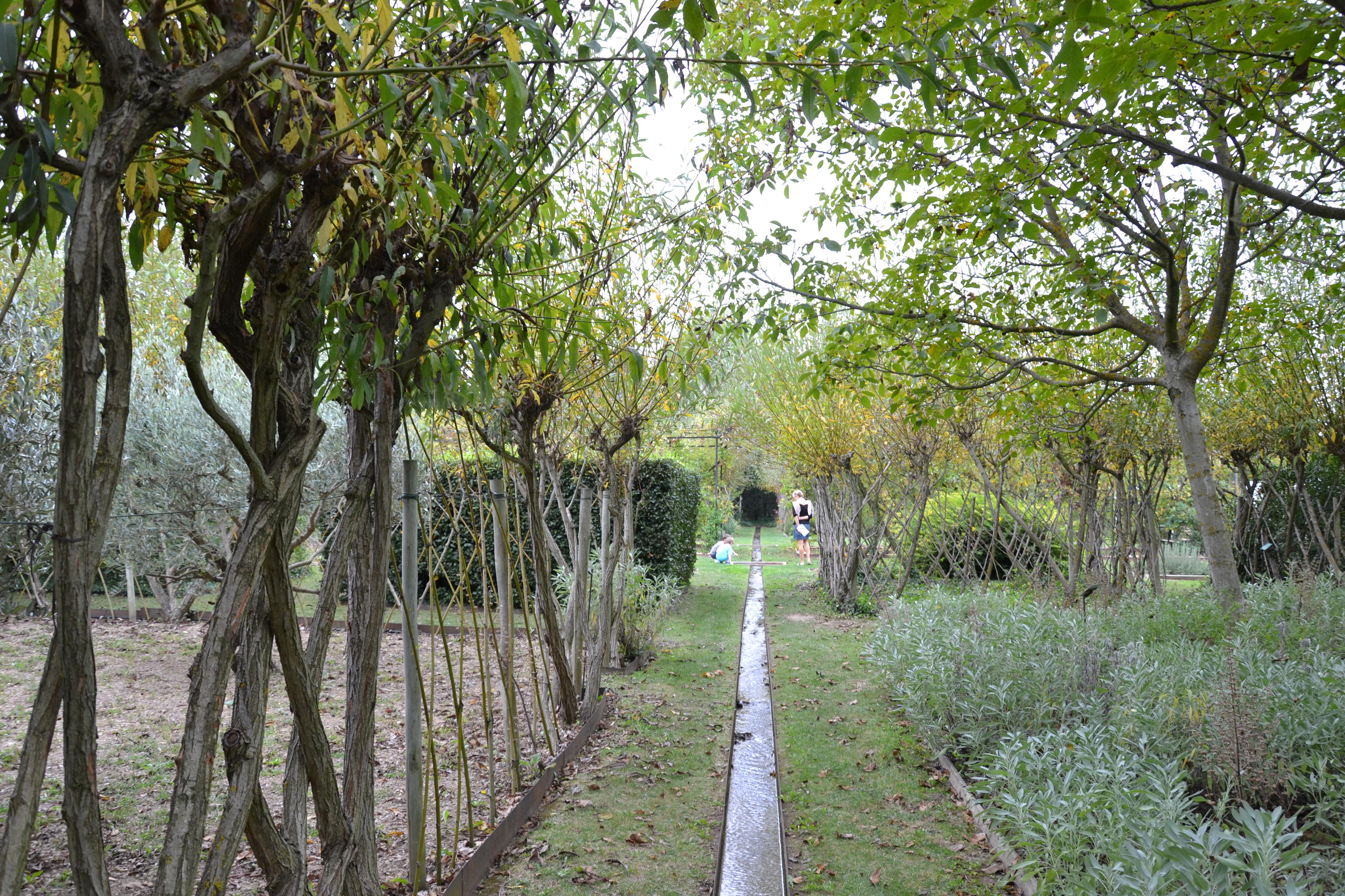 Jardin de l'Alchimiste