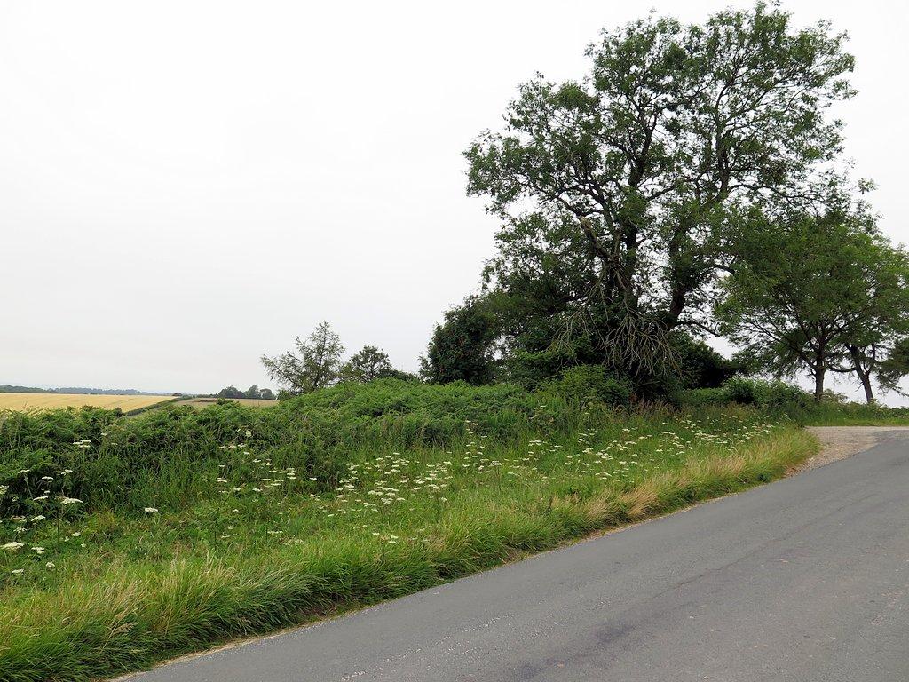 Black Howe round barrow