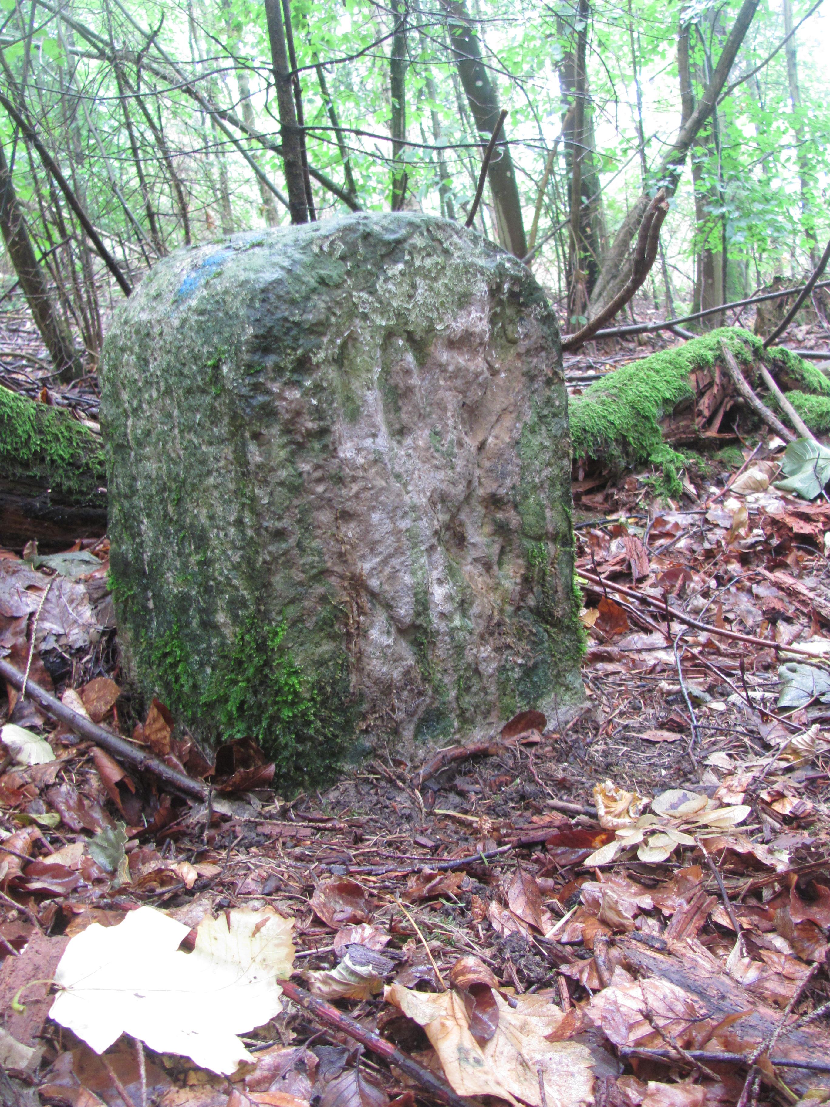 Wildbannstein