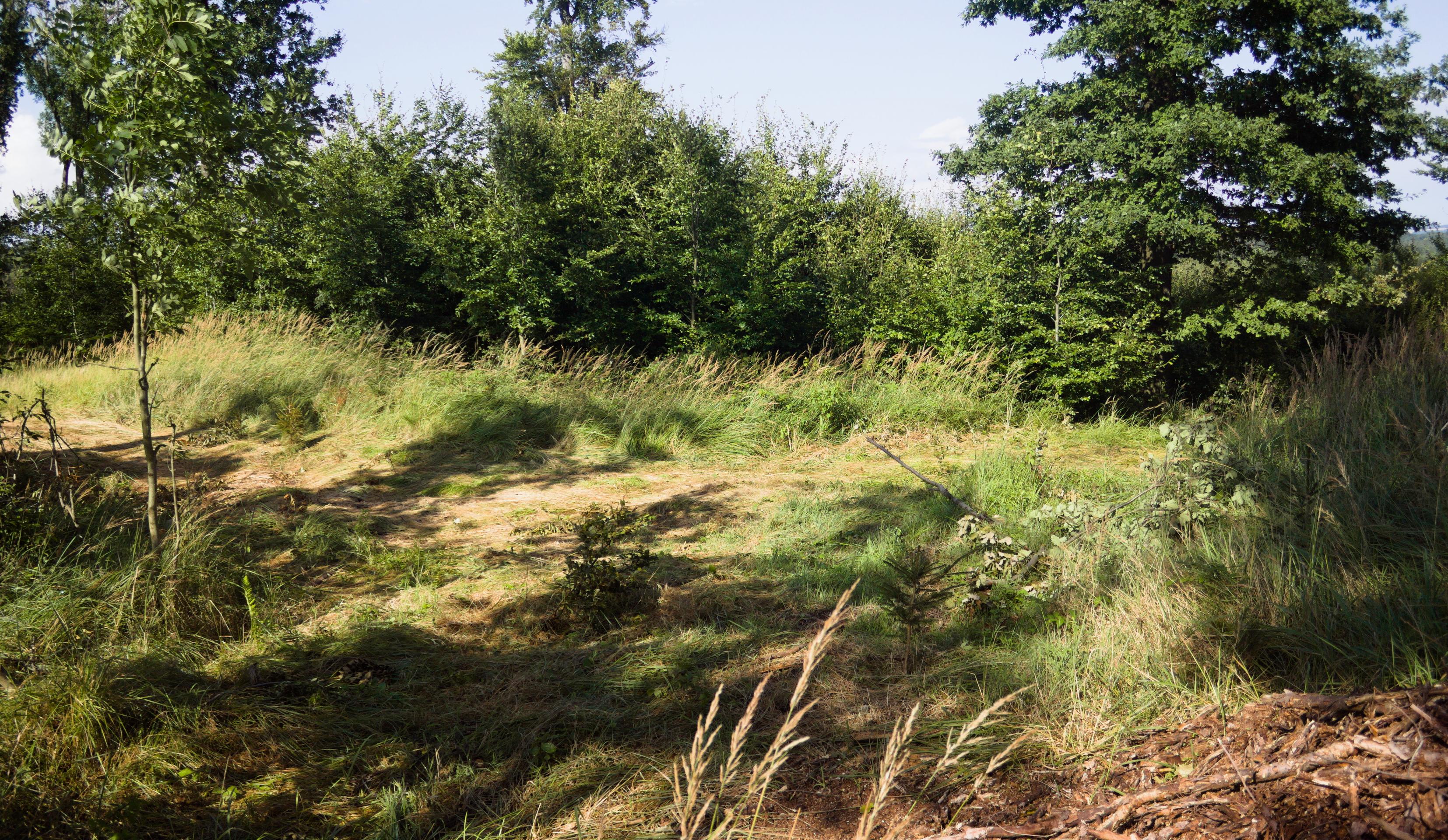 Zamek Pirszyn