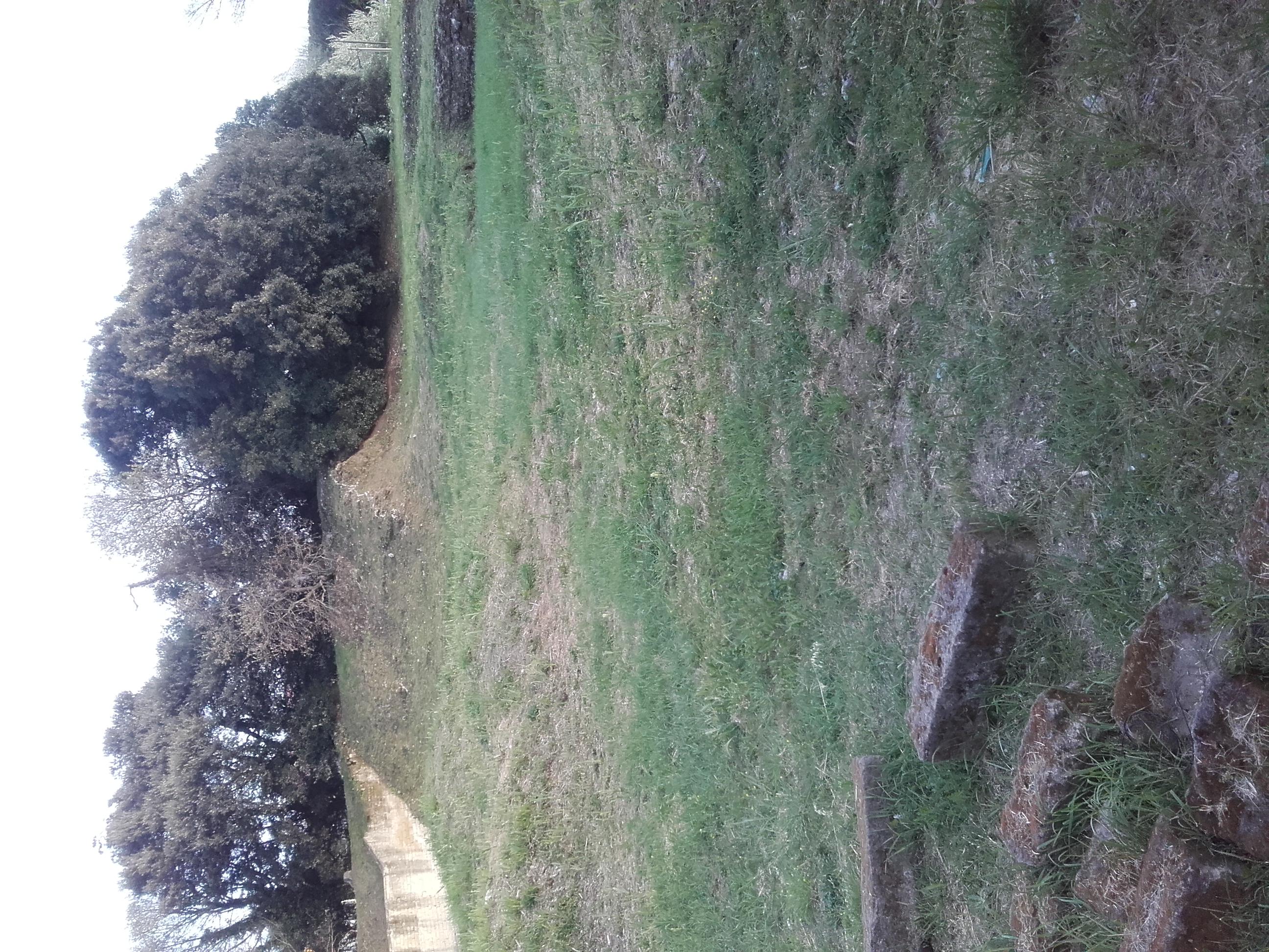 Anfiteatro di Liternum