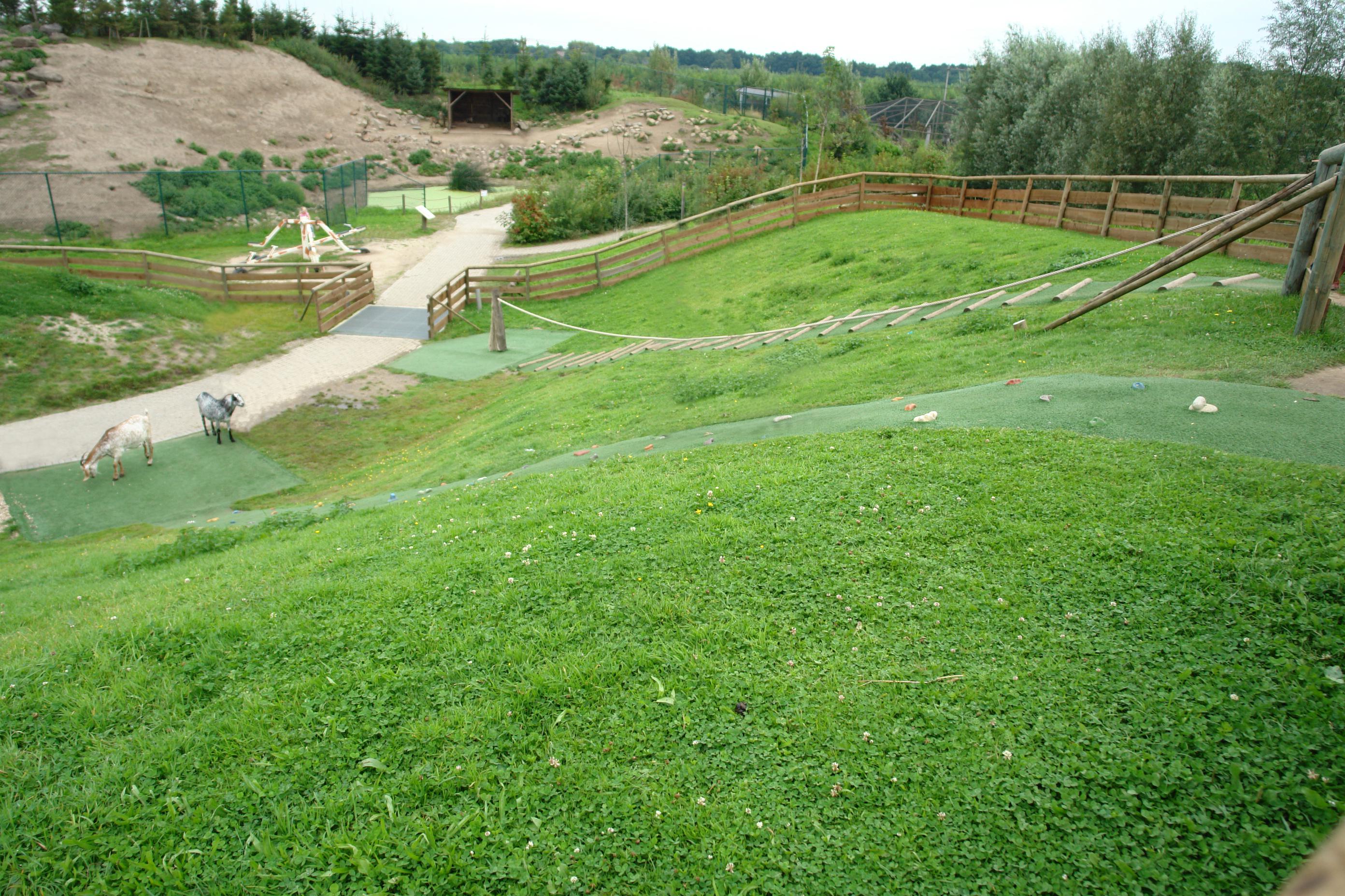 Dierenrijk