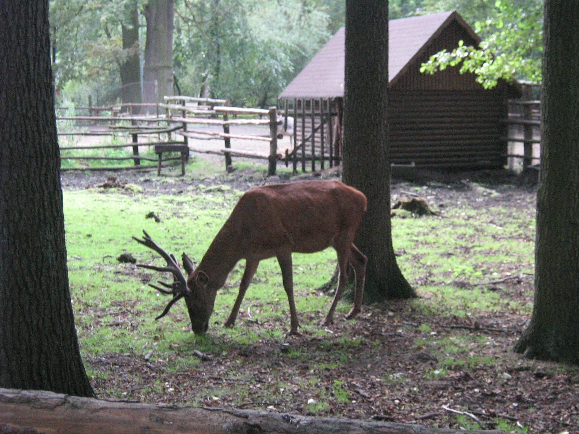 Ogród Zoologiczny w Nowym Tomyślu