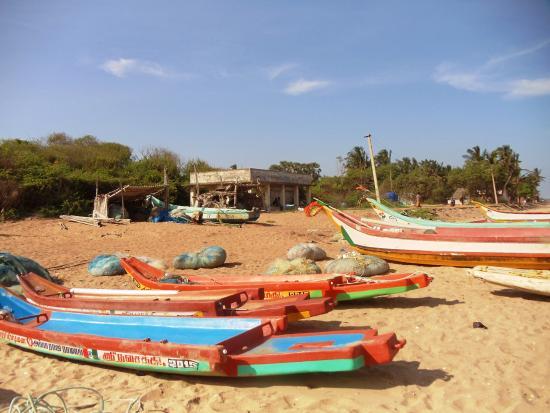 Auro Beach