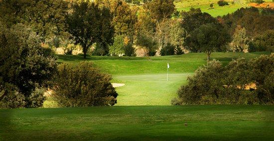 Club de Golf Don Tello