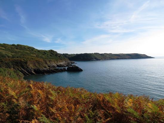 Brandy Cove
