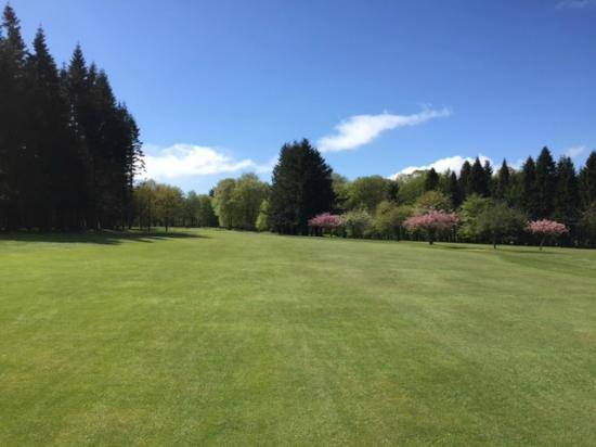 Downfield Golf Club
