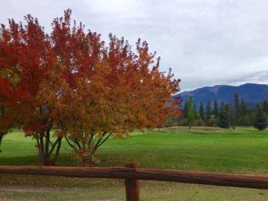 Double Arrow Golf Course