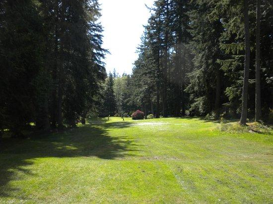 Island Greens Golf