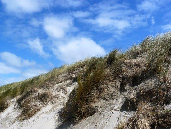 Plage de Zuydcoote