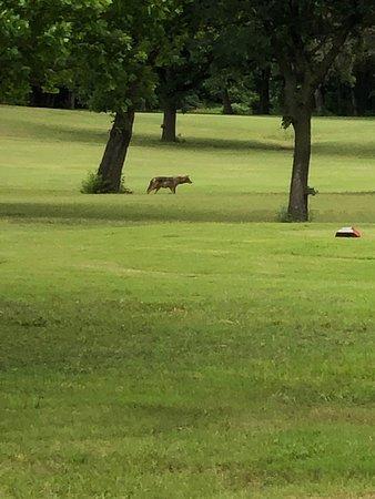Pecan Valley Golf Course