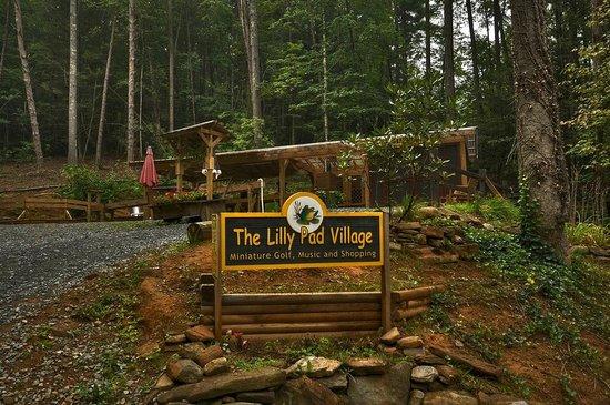 The Lilly Pad Village