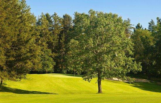 Whitebirch Golf Course