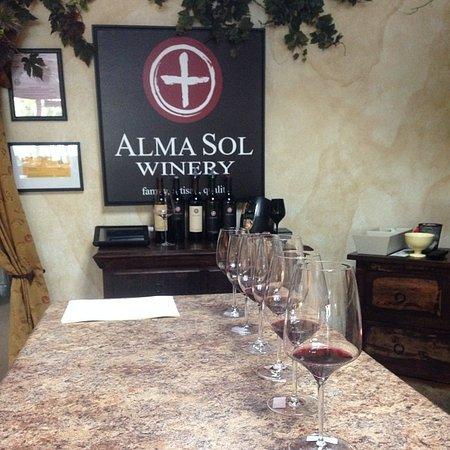Alma Sol Winery