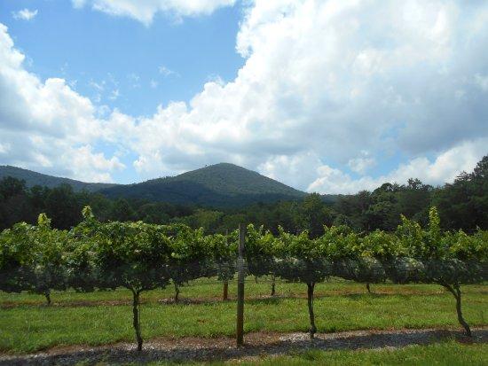 Sharp Mountain Vineyards