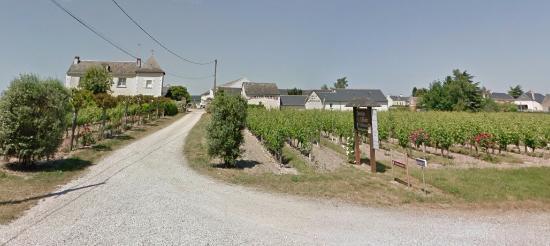 Domaine Olivier