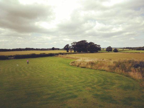 Courtship Maze