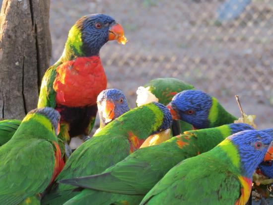 Parc zoologique Val d'Hérault nature