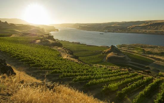 Maryhill Winery