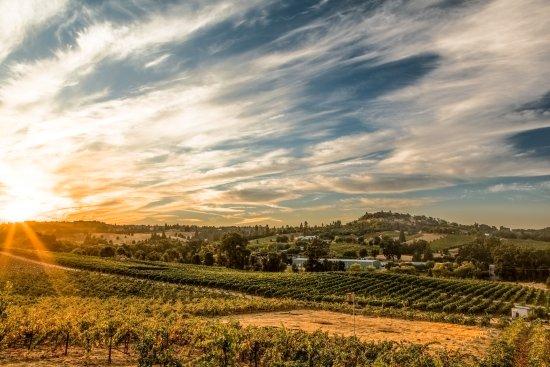 Renwood Winery